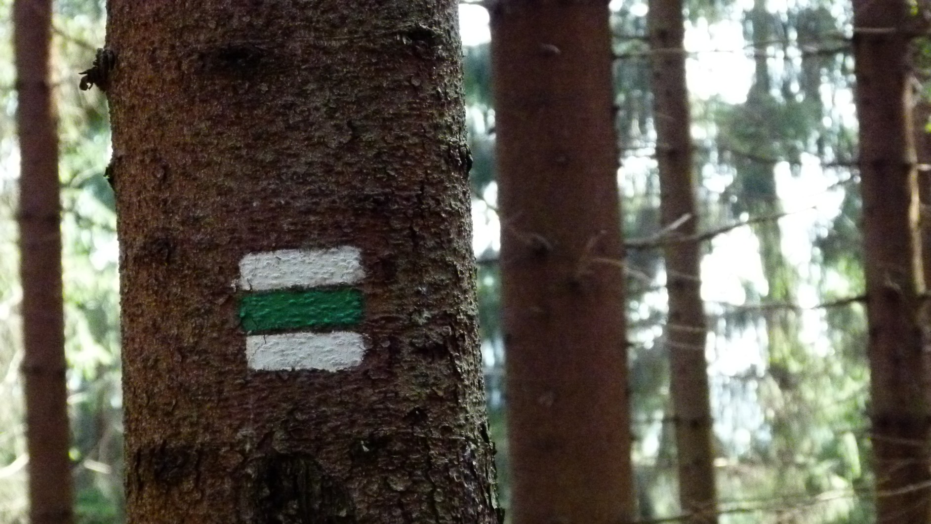 CAL 2012 vyprava do Alifbaje 4. 9.4. 48